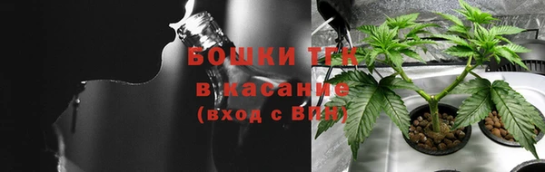 PSILOCYBIN Баксан