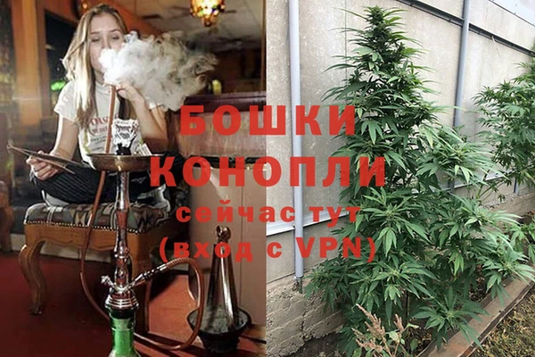 индика Балахна
