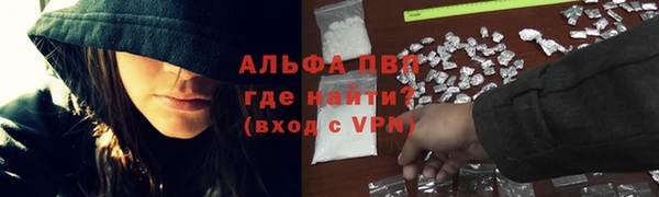 PSILOCYBIN Баксан