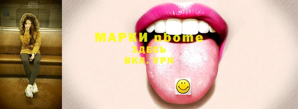индика Балахна