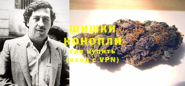 индика Балахна