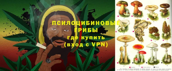 индика Балахна