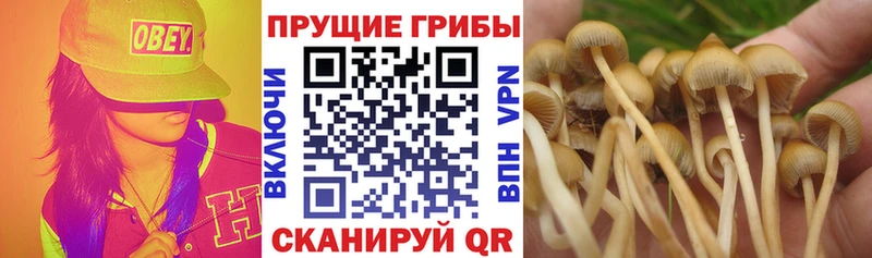 Галлюциногенные грибы мицелий Нюрба